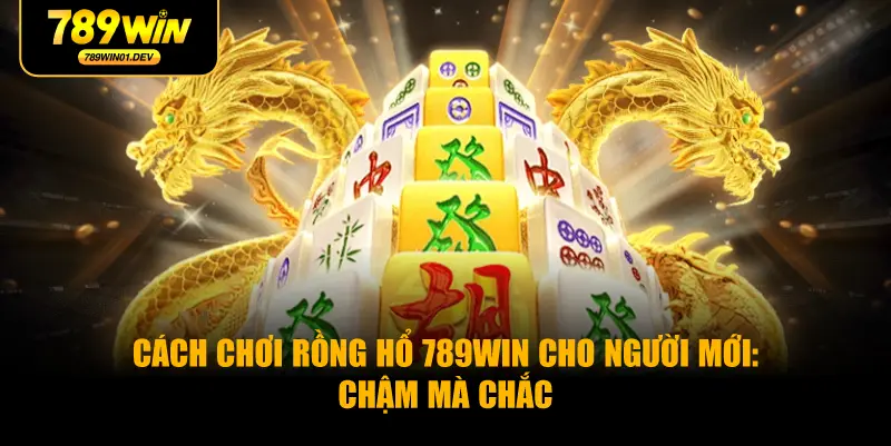 Cách chơi Rồng Hổ 789WIN cho người mới: chậm mà chắc